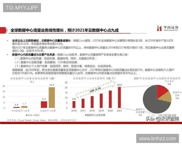 独家解析LNG意识的多维对比与市场影响探讨